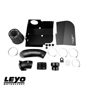 Leyo Intake | Skoda Octavia MK3